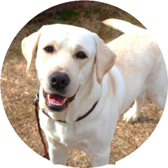 ウィリアム① 20240212